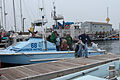 Cleanup group returns from Morro Bay, 2009