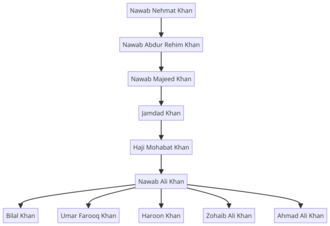 Family tree of Nawab Nehmat Khan