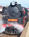 Steamrail locomotive R761 sits at Platform 2, June 2003