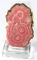 Rhodochrosite (Argentine)