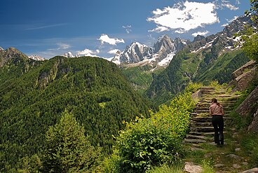 Montane zone: Val Bregaglia, at the foot of Piz Badile