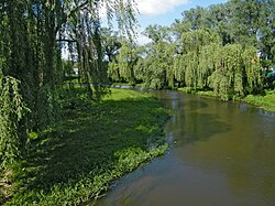 Река Иква в городе Дубно