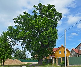 Näkymä Hostomelista