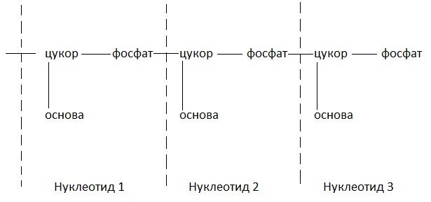 Файл:Неоноккокео.tif