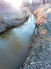 Гирло річки Нижня Біленька