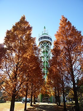 さんぶの森公園グリーンタワー