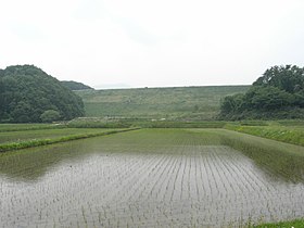 田植え時期の深田ダム