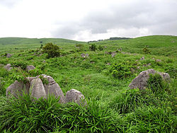 Karst landscape of Akiyoshidai