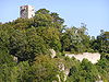 Burg Hohenschelklingen