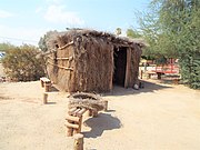 Early Cocopah dwelling