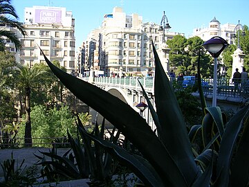 Elche sur le Vinalopó