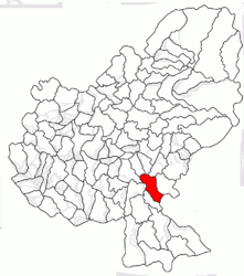 Location in Mureș County