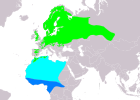 Aire de répartition du Gobemouche noir