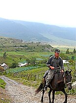 A villager in Fioletovo
