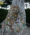 Fairies Tree in the Fitzroy Gardens