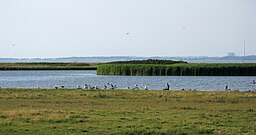 Flasken och Halleby Å