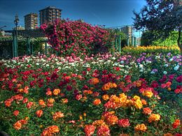 Park in Göztepe