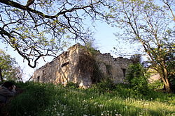 Pęczelice - walls of the arian house (16th century).