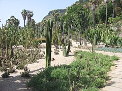 Jardines Mossèn Costa i Llobera.