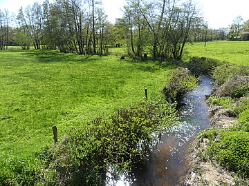 La Jarnagette au lieu-dit Lâge, à Parsac-Rimondeix.