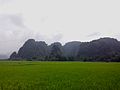 Potret lanskap persawahan dan pegunungan karst Leang-Leang di kawasan Cagar Alam Bantimurung.