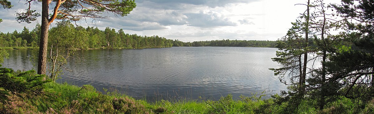 Långsjön sedd från sin östra spets, augusti 2011.