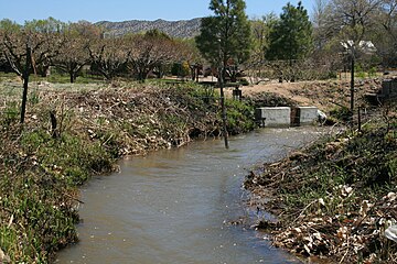 Unlined portion of Los Chicos acequia, near Velarde, New Mexico