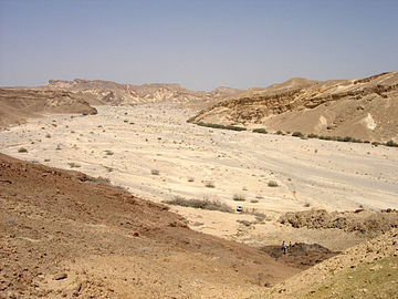 Wadi in Nahal Paran, Negev, Israel