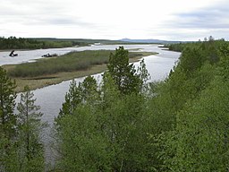 Pasvik älv med ön Vaarlamasaari, och Pasvik Zapovednik