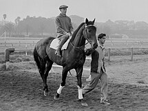 Prince Cortauld, 1954 winner