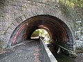 Seldom Seen Arch, built in 1903, over Saw Mill Run in the Mount Washington neighborhood of Pittsburgh, PA.