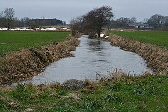 Skivarpsån den 13 december 2023 i höjd med Tingaröd. Vattenföringen var denna dag 3,46 kubikmeter per sekund vid mätstationen cirka 1 km uppströms.