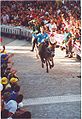 Palio del somaro, la course