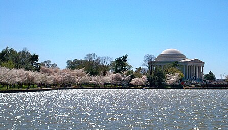 The Tidal Basin and the Jefferson Memorial during the 2010 National Cherry Blossom Festival (March 31, 2010)