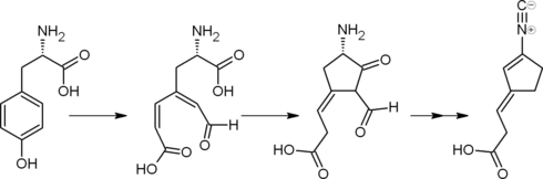 Схема пути биосинтеза диен-изоцианида из тирозина