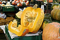 Image:- Squash -.jpg.