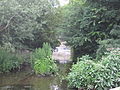 Hendon Lane Weir, Dollis Brook