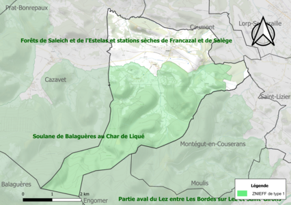 Carte de la ZNIEFF de type 1 sur la commune.