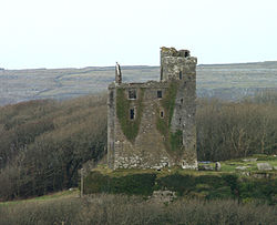 Ballinalacken Castle