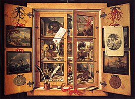 Curiosity cabinet