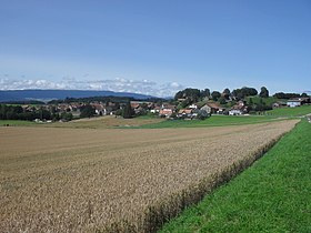 Chavannes-le-Chêne