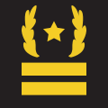 Colonel