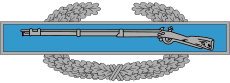 A metal device depicting a blue bar with a rifle, in front of a wreath of silver leaves.