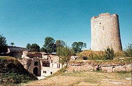 Dungeon and basse court of the Château de Guise