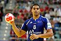 Daniel Narcisse 311 matchs 3 CE, 4 CM, 2 JO Meilleur joueur IHF 2012.