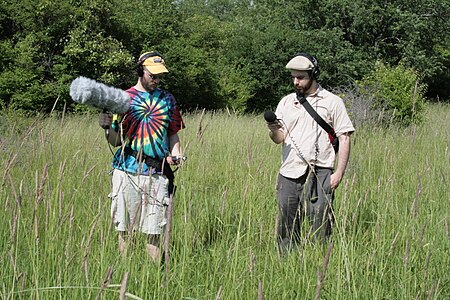 Recording Ecoacoustics using a Zoom h4 and a Zoom h4n, a rode windscreen and Sony mdr-v6's