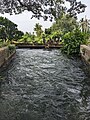 Main canal outflow