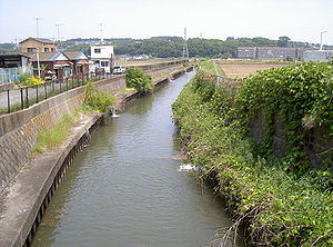 鳩川 2006年5月23日撮影