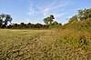 Hemingford Grey Meadow