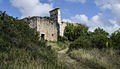 Ruinas de la iglesia de los santos Quirico y Julita.